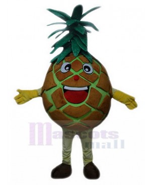 Brown Pineapple Pete Fruit Mascot Costume Cartoon