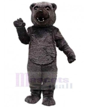 Cocomo Bear Mascot Costume For Adults Mascot Heads