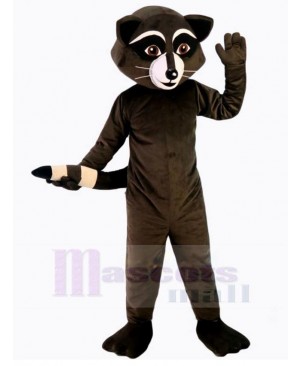 Lovely Raccoon Mascot Costume Animal