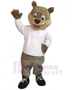 Likable Bear Mascot Costume Animal