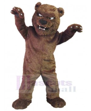 Funny Bear Adult Mascot Costume Animal
