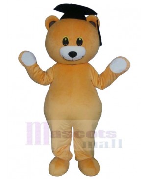 Bear in the Bachelor Cap Mascot Costume Animal