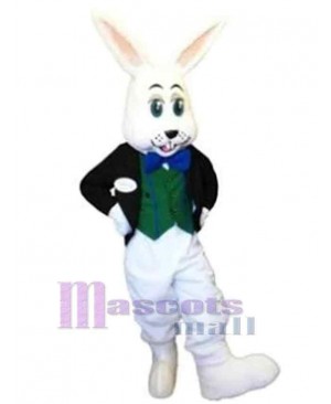 Rabbit Boy Mascot Costume Animal