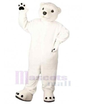 Kindly Polar Bear Mascot Costume For Adults Mascot Heads