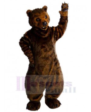 Feral Bear Mascot Costume For Adults Mascot Heads