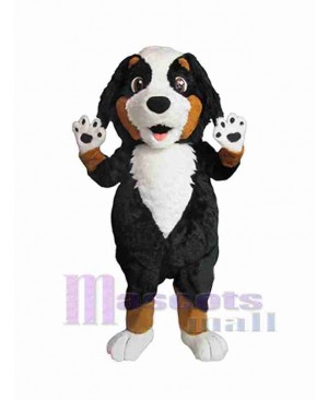 Cute Male Dog Mascot Costume Animal